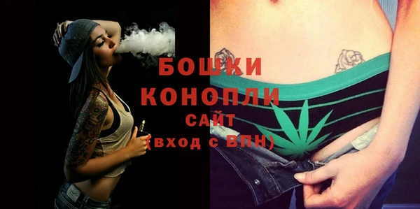 спайс Богданович