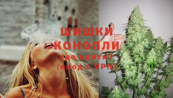 2c-b Бородино