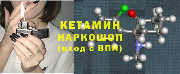 прущие грибы Вяземский