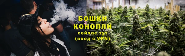 2c-b Бородино